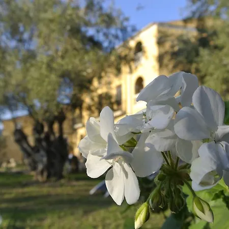 Casa rural Maset Del Garraf