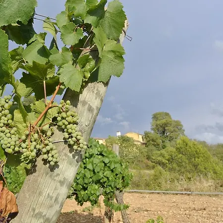 Maset Del Garraf Casa rural Olesa de Bonesvalls