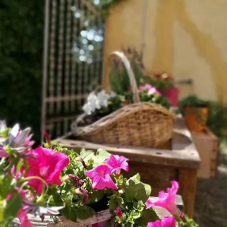 Maset Del Garraf Casa rural *